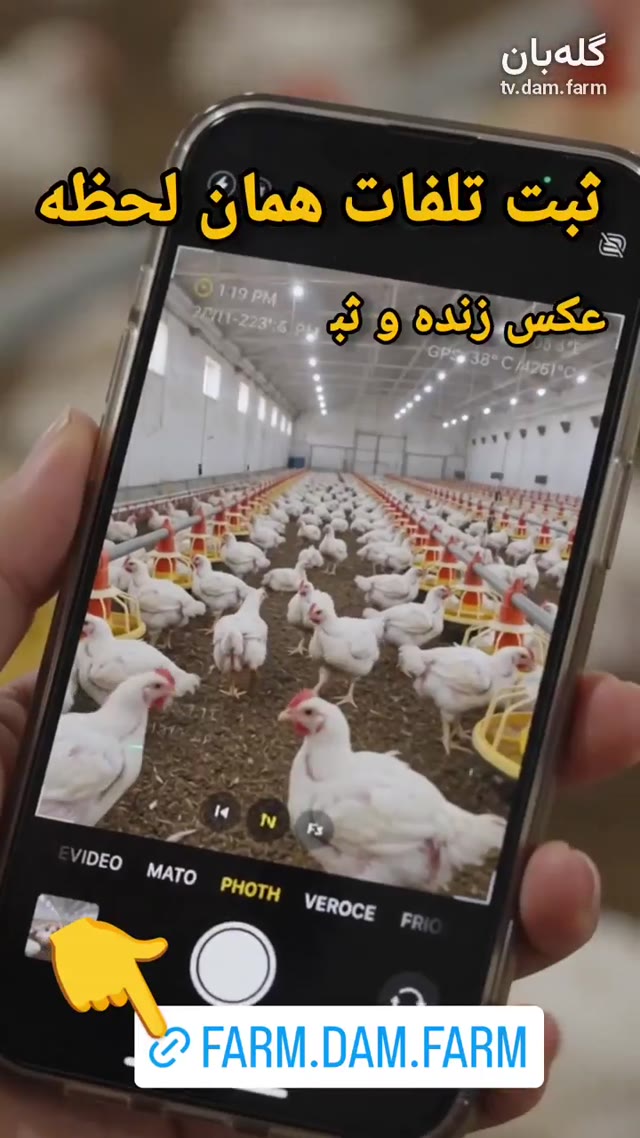 ثبت تلفات در گله‌بان بدون تقلب...