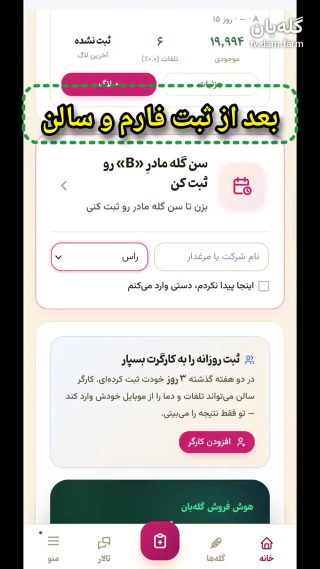 نحوه ثبت گله مرغ مادر در گله‌بان